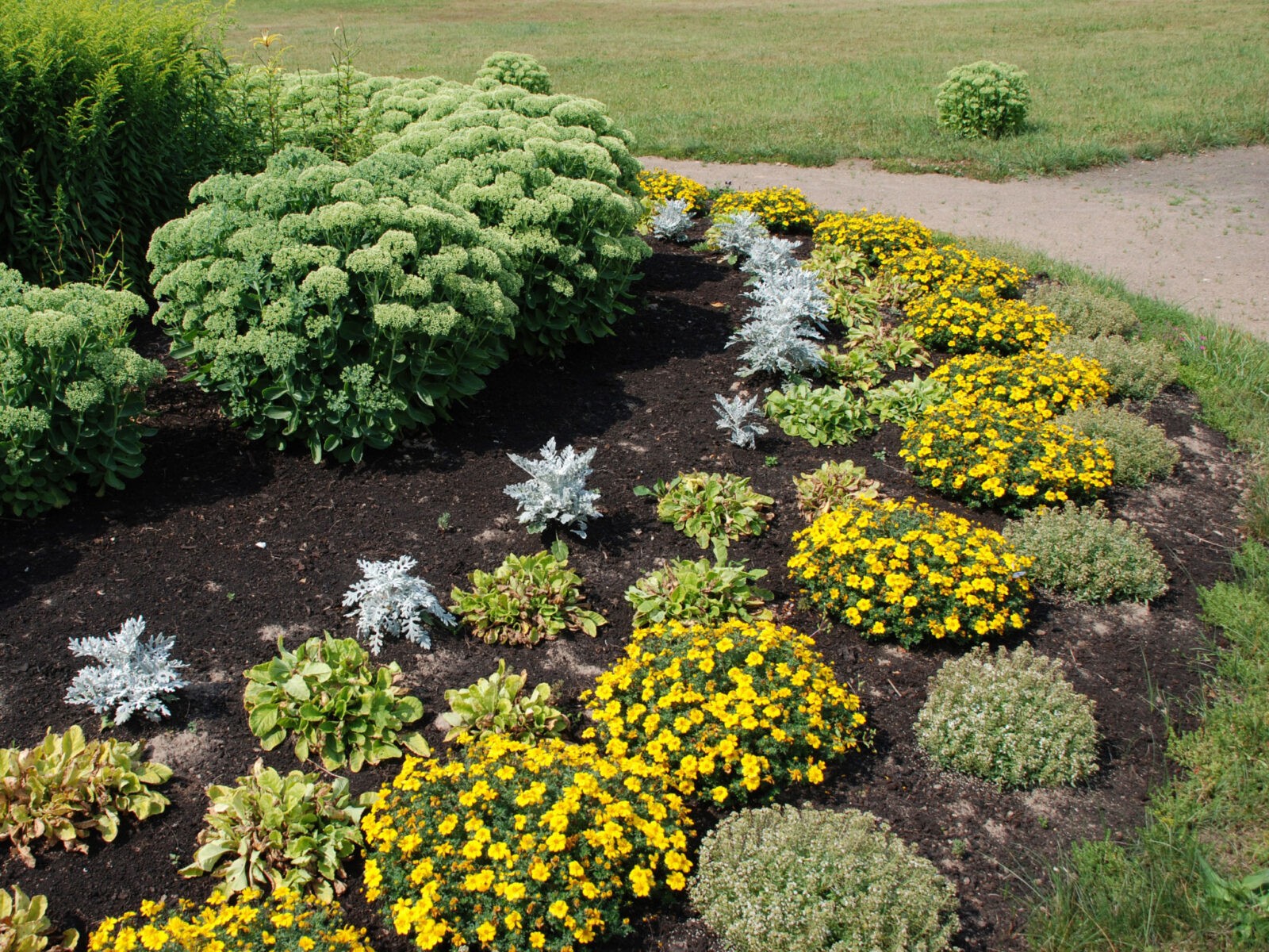 Landscaping-Austin-Texas